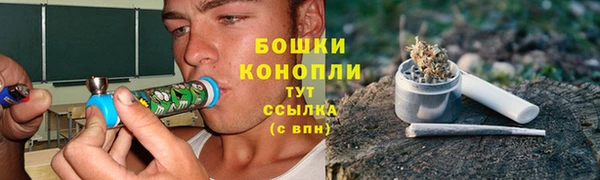 крисы Верхний Тагил